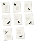 greeting card 8 pack: miranda's thoughts