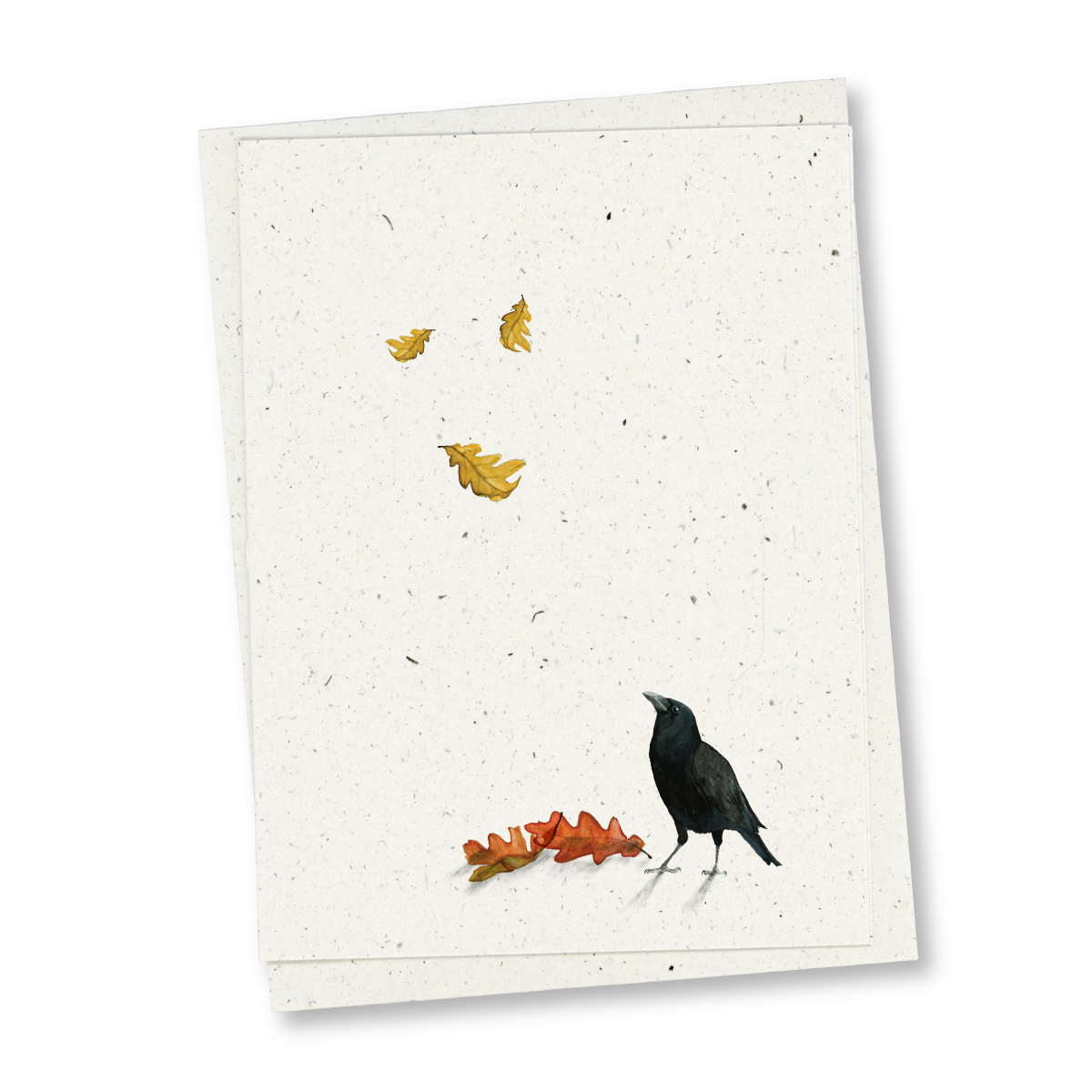 greeting card: miranda in autumn