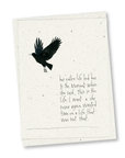 greeting card 8 pack: miranda's thoughts