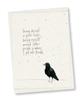 greeting card 8 pack: miranda's thoughts