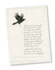 greeting card 8 pack: miranda's thoughts
