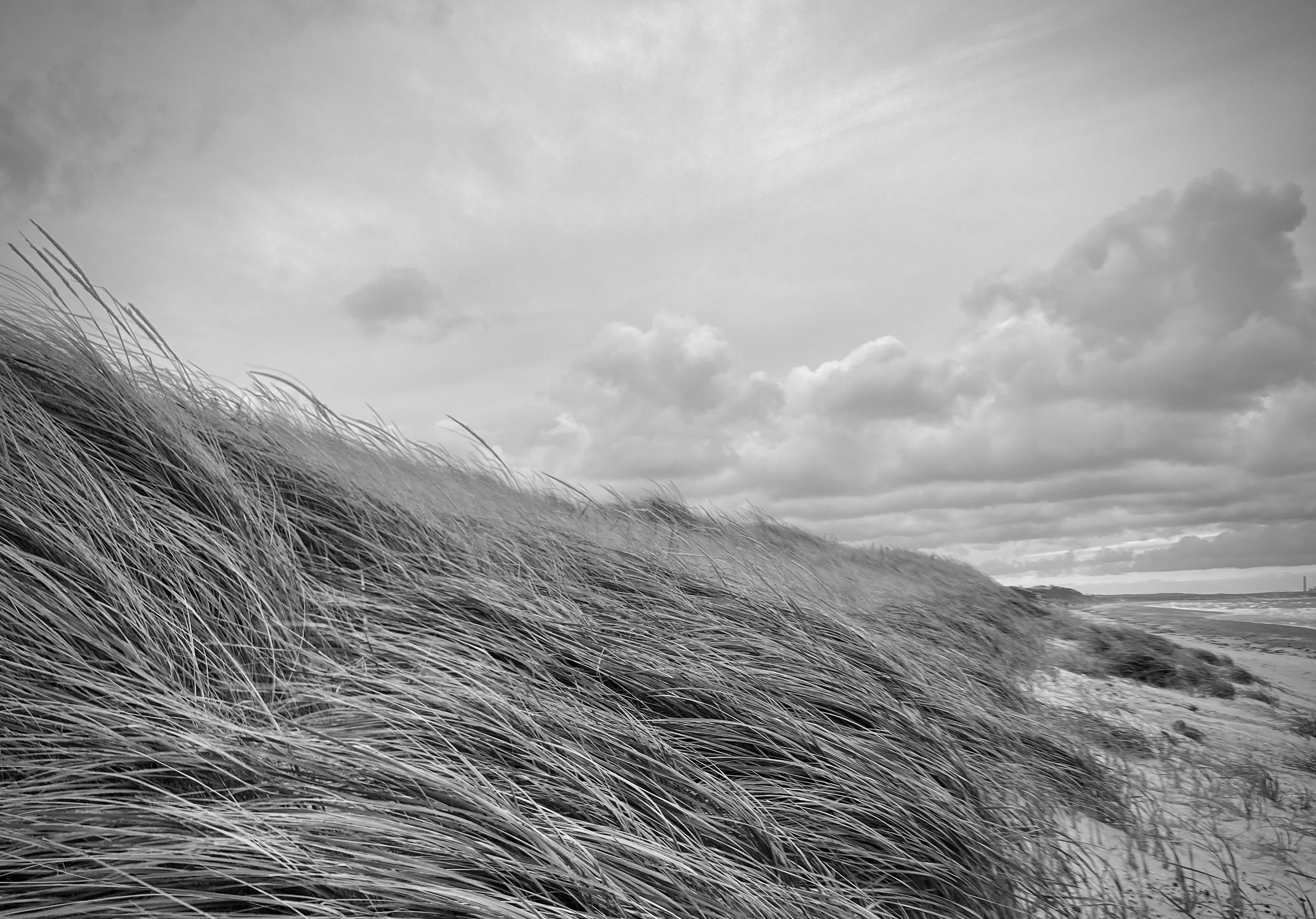 sandy neck in january 2024