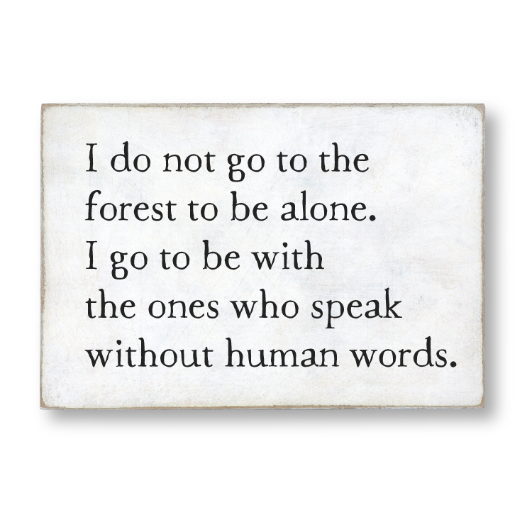 child of the forest storyblock