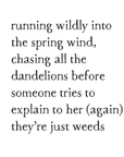 dandelion wishes storyblock