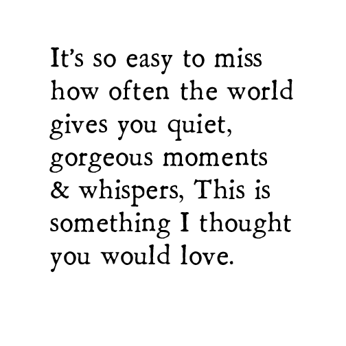 bird & brush: gorgeous moments artprint