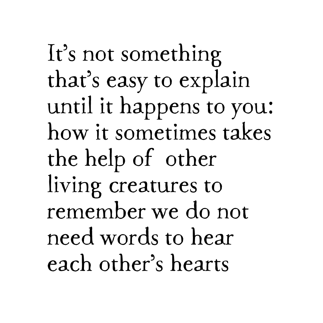 heart words