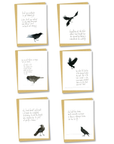 flat card 6 pack: miranda's thoughts