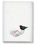 greeting card 6 pack: miranda the curious crow