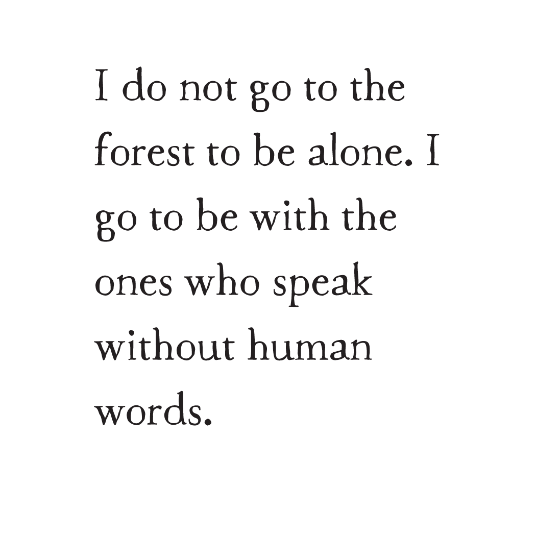 child of the forest storyblock