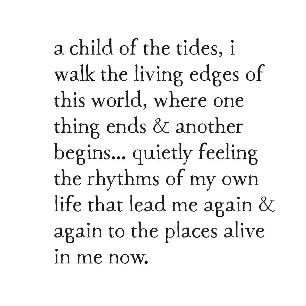 bird & brush: child of the tides art print