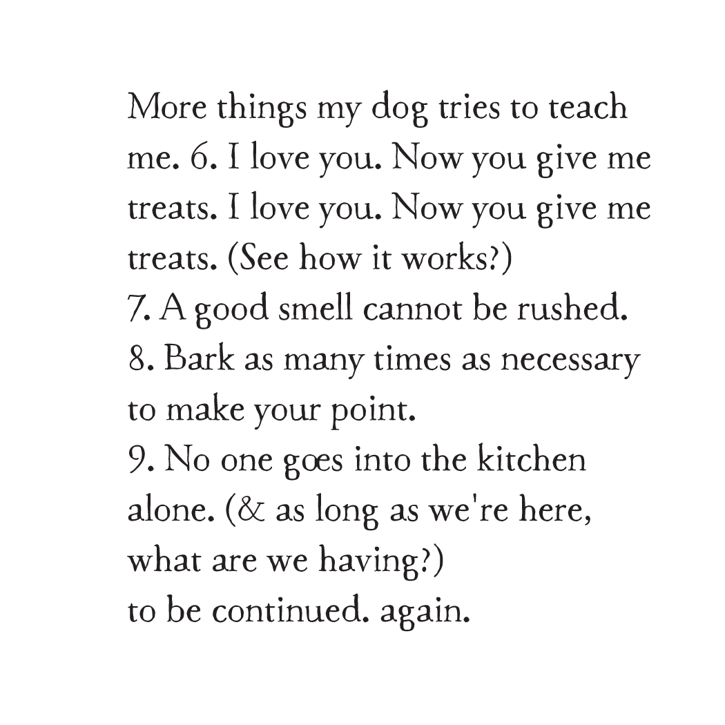 dog lessons II art print