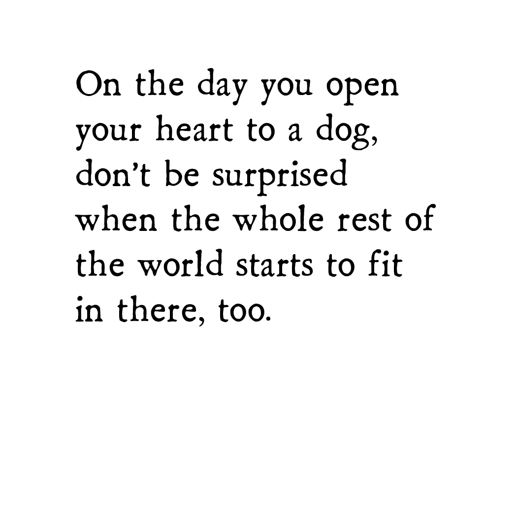 extra room storyblock