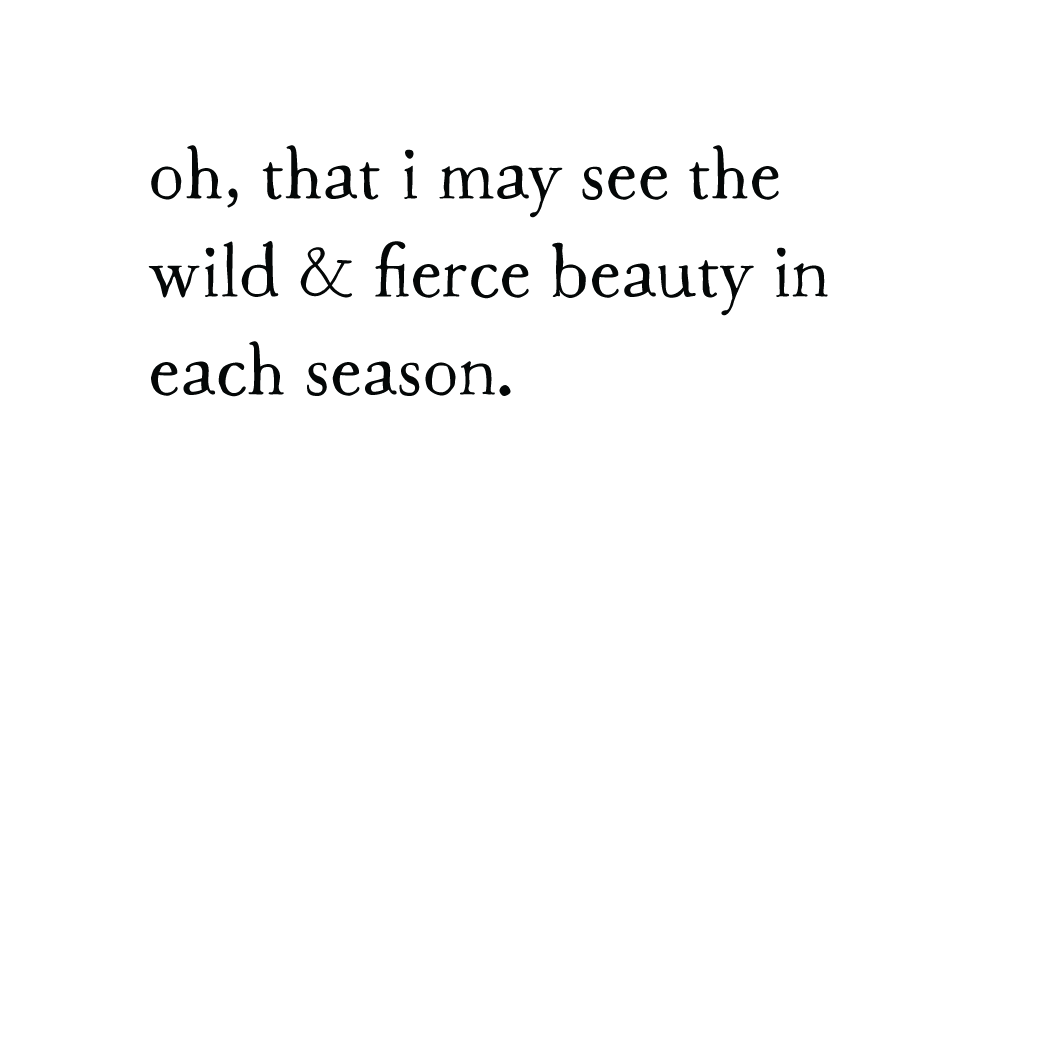 fierce beauty storyblock