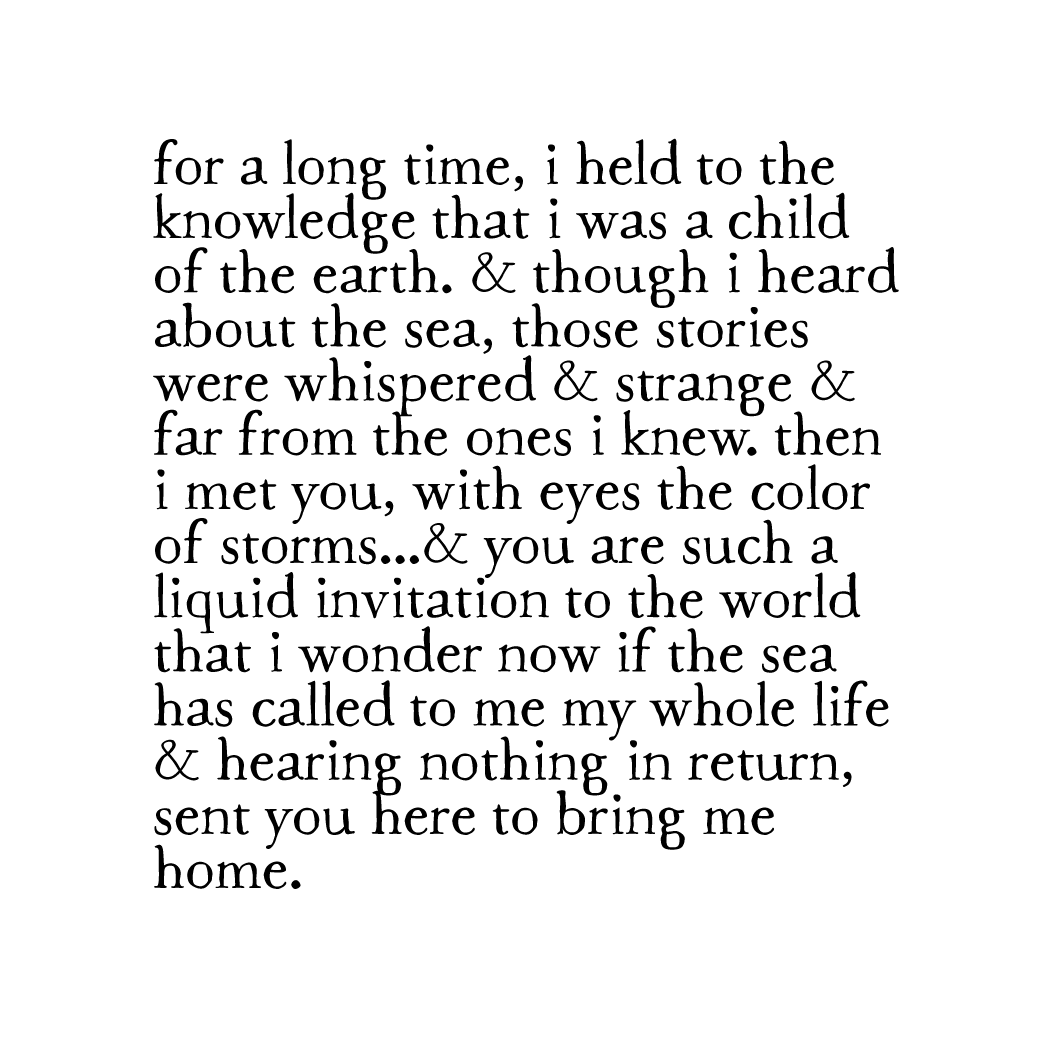 bird & brush: homecoming print