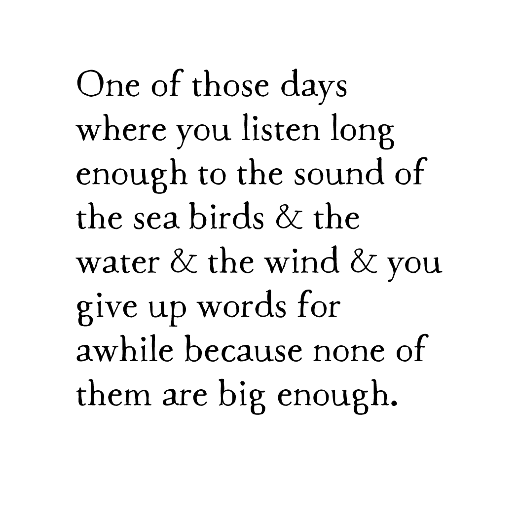 bird & brush: montana