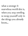 strange & marvelous storyblock