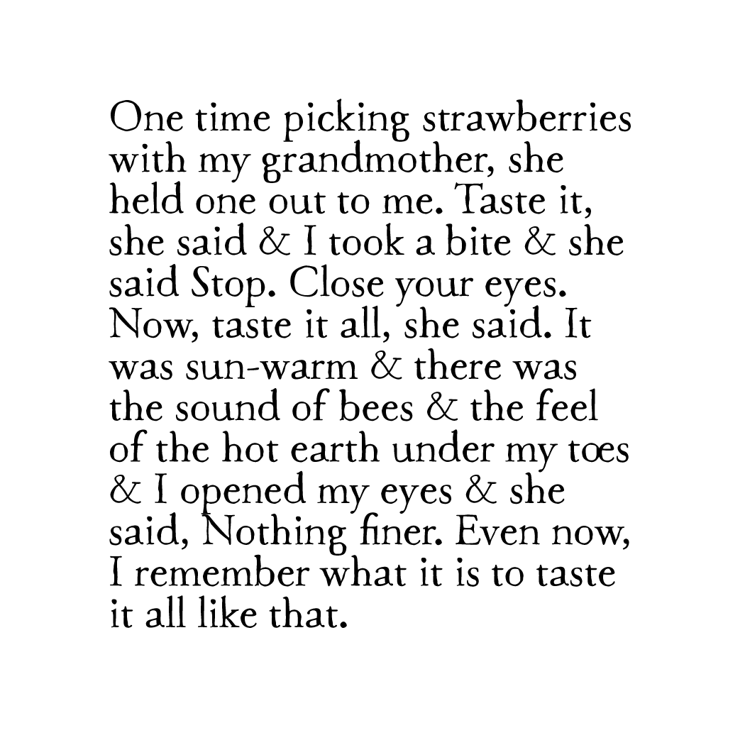 taste it all art print