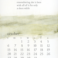 2024 bird & brush desk calendar