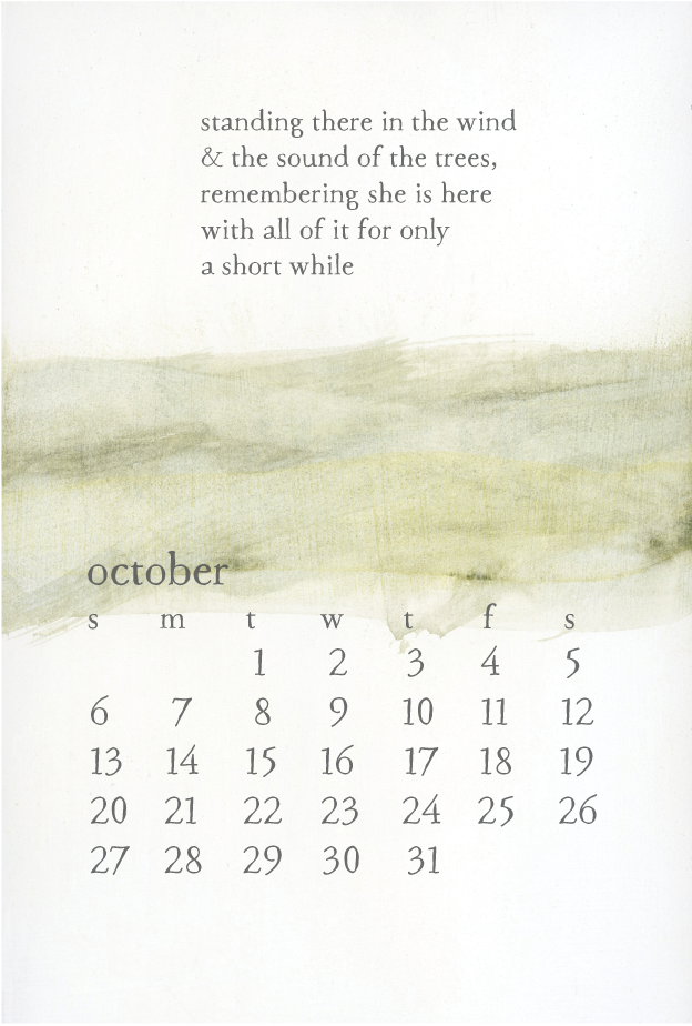 2024 bird & brush desk calendar