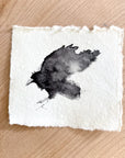 sumi ink crow in flight