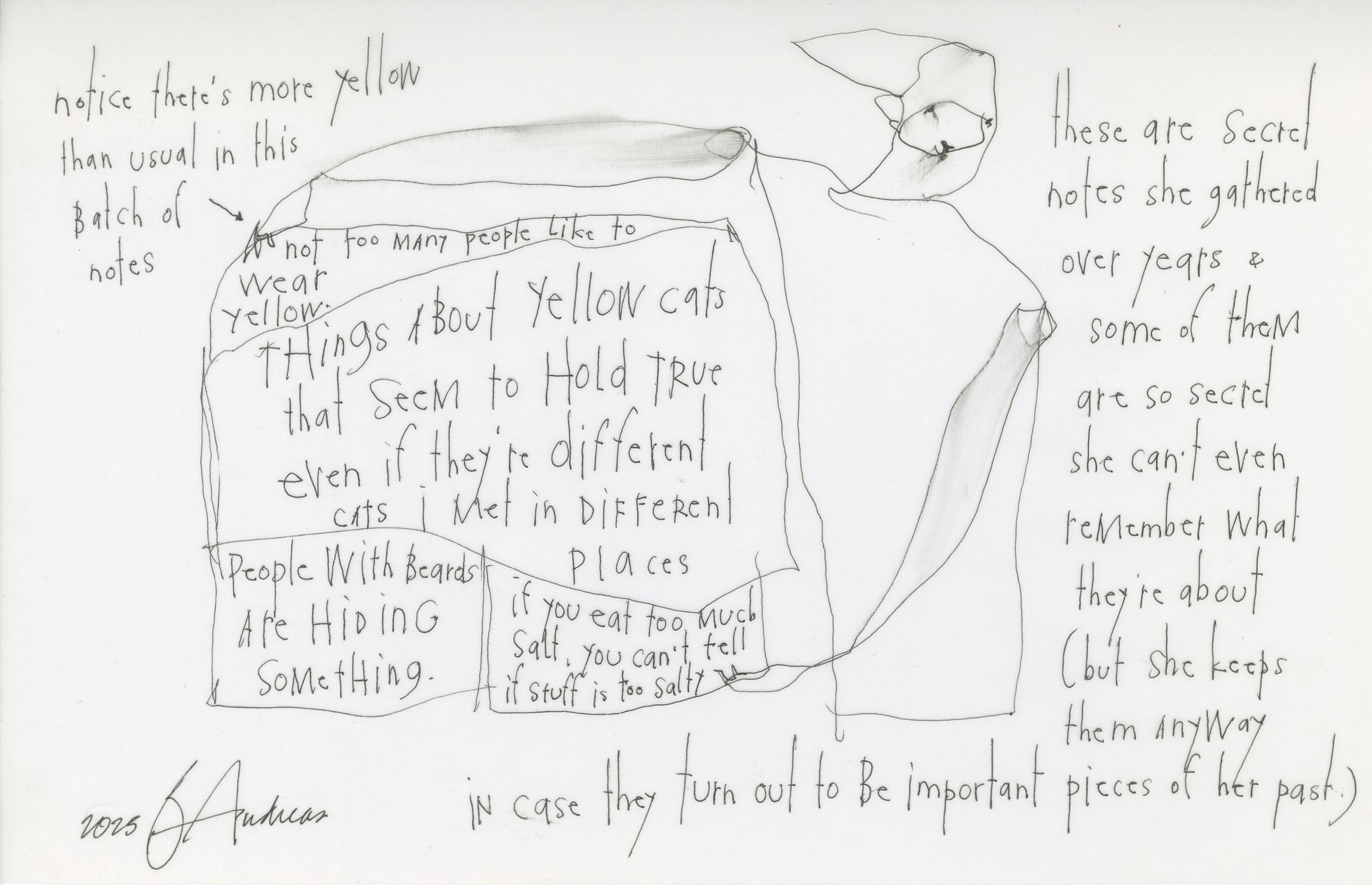 original pen &amp; ink on vellum: secret notes