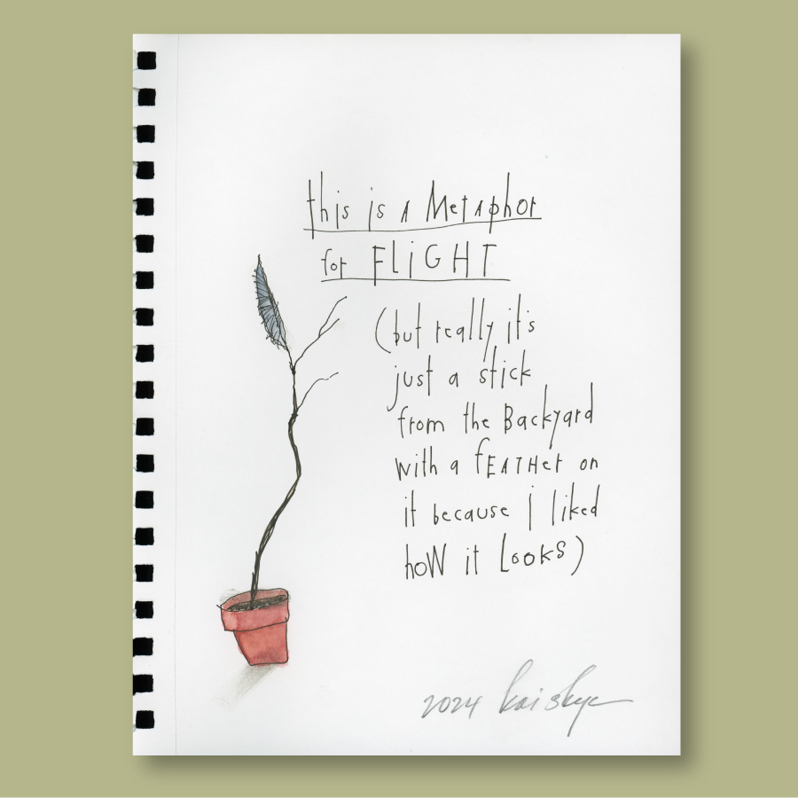 weekly pen &amp; ink: &#39;metaphor for flight&#39;