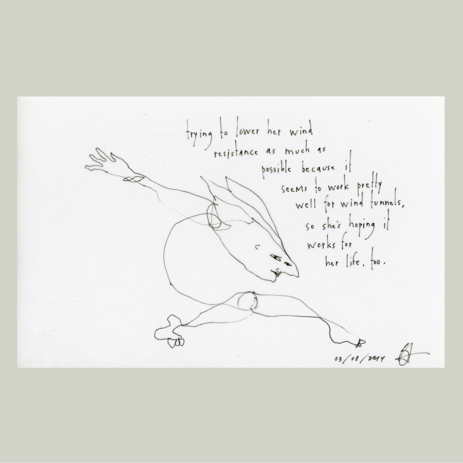 original pen &amp; ink: wind resistance