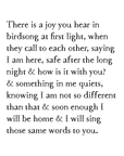 birdsongs art print