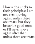 greeting card: dog principles