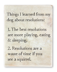 dog resolutions storyblock
