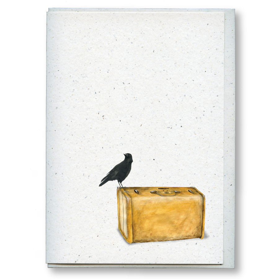 greeting card pack: miranda the curious crow