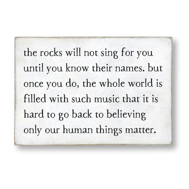 world music storyblock