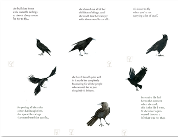crow stories 1 pack