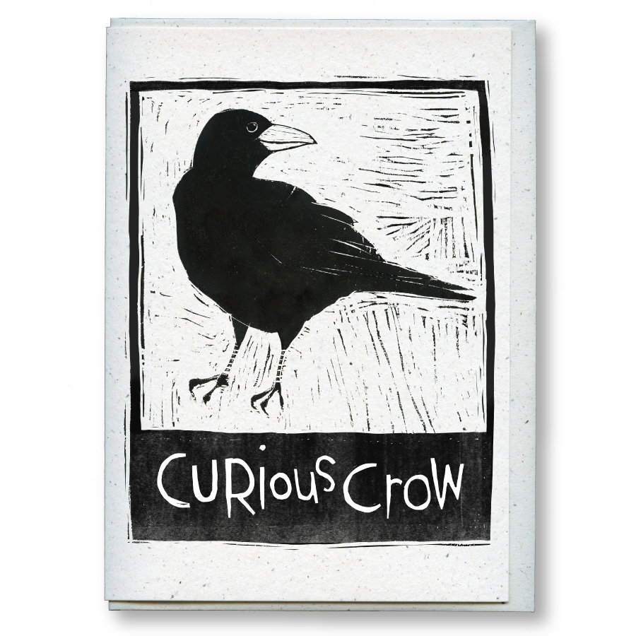 greeting card: curious crow