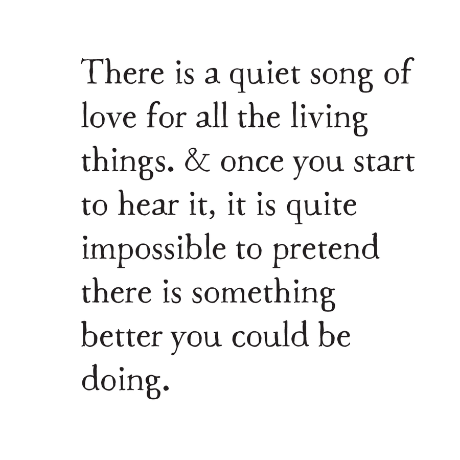 song of living things storyblock