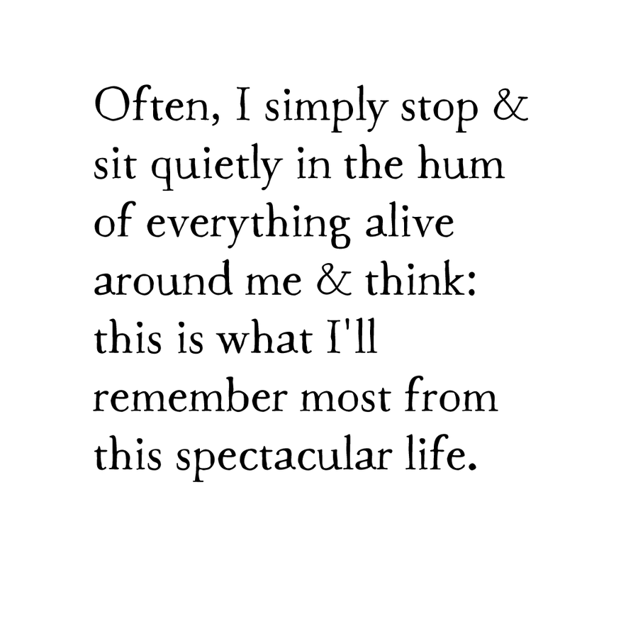 international spectacular life print