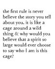 spirit cage storyblock