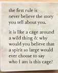 spirit cage storyblock
