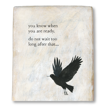 time to fly palimpsest artblock